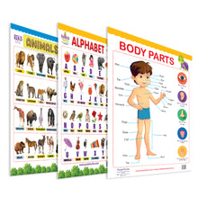 Load image into Gallery viewer, Body Parts , Alphabet and Animals Educational Wall Charts for Kids