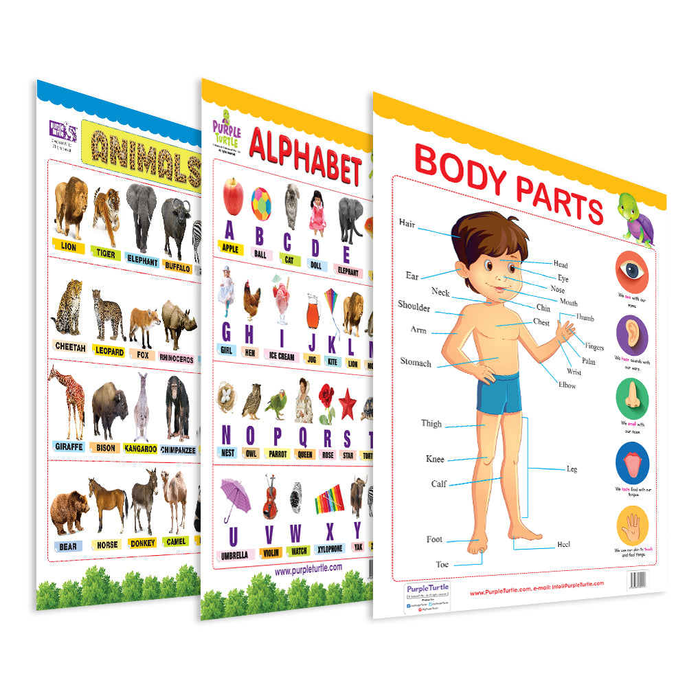 Body Parts , Alphabet and Animals Educational Wall Charts for Kids