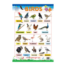 Load image into Gallery viewer, Fruits & Vegetables, Birds and Transport Educational Wall Charts for Kids