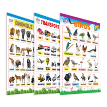 Load image into Gallery viewer, Birds, Transports and Animals Educational Wall Charts for Kids