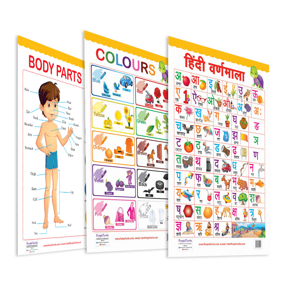 Body Parts, Colours, and Hindi Varnmala Educational Wall Charts for Kids