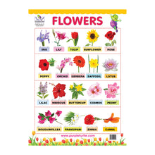 Load image into Gallery viewer, Fruits &amp; Vegetables, Colours, Body Parts and Flowers Educational wall Charts for Kids
