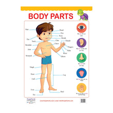 Load image into Gallery viewer, Body Parts and Shapes Educational Wall Charts for KIds