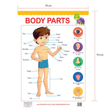 Load image into Gallery viewer, Educational Wallcharts for kids