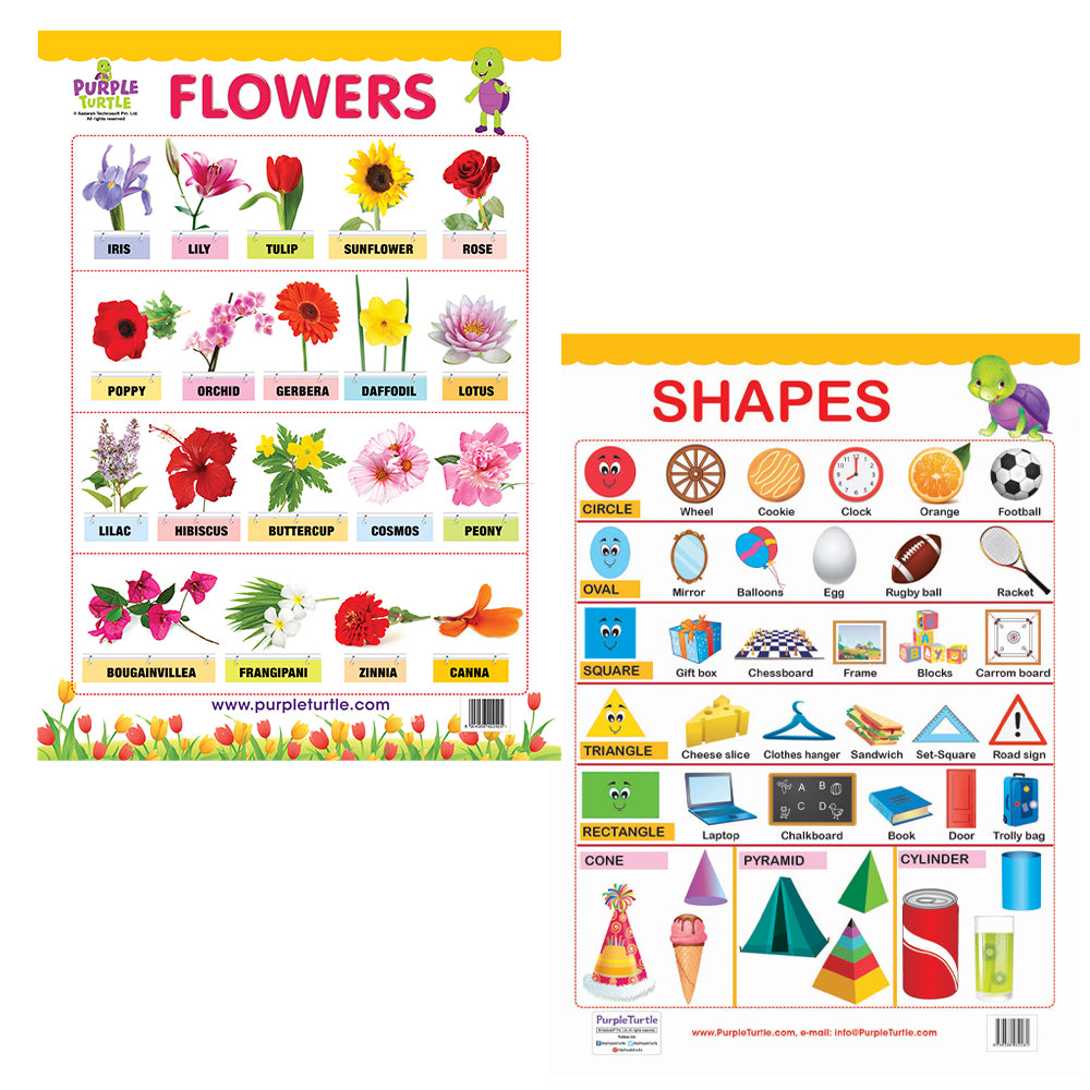 Flowers and Shapes Educational wall Charts for Kids