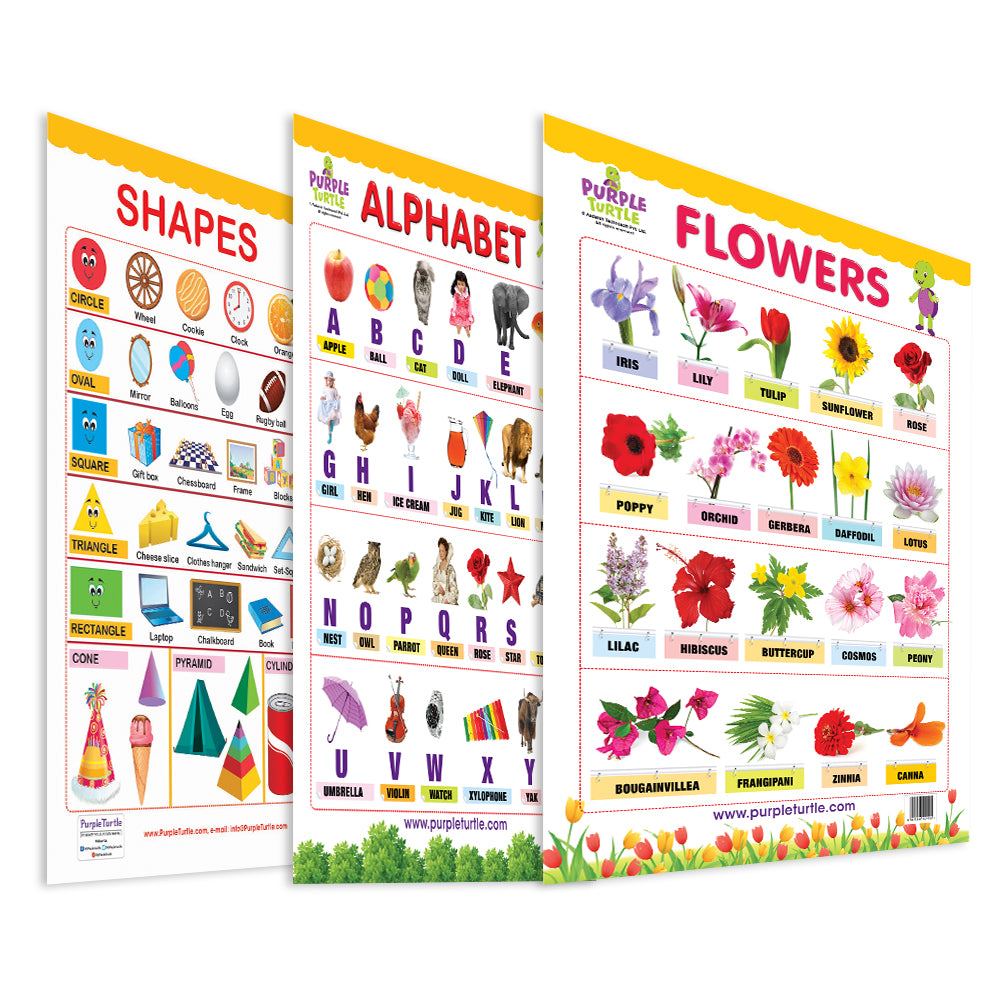 Flowers, Alphabet and Shapes Wall Charts for Kids