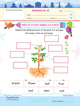 Load image into Gallery viewer, Purple Turtle Preschool Worksheets for UKG - English, Maths &amp; EVS - 100 Worksheets (100 Activities - 50 Leaves) for Early Learning
