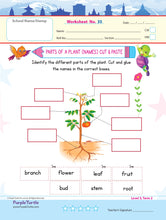Load image into Gallery viewer, Purple Turtle Preschool Worksheets for UKG - English, Maths & EVS - 100 Worksheets (100 Activities - 50 Leaves) for Early Learning