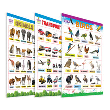 Load image into Gallery viewer, Birds, Transports and Animals Educational Wall Charts for Kids
