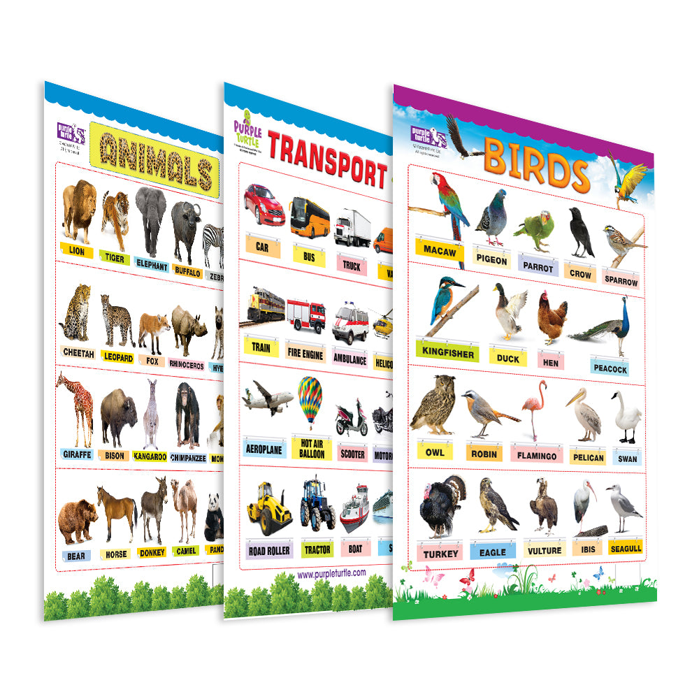Birds, Transports and Animals Educational Wall Charts for Kids