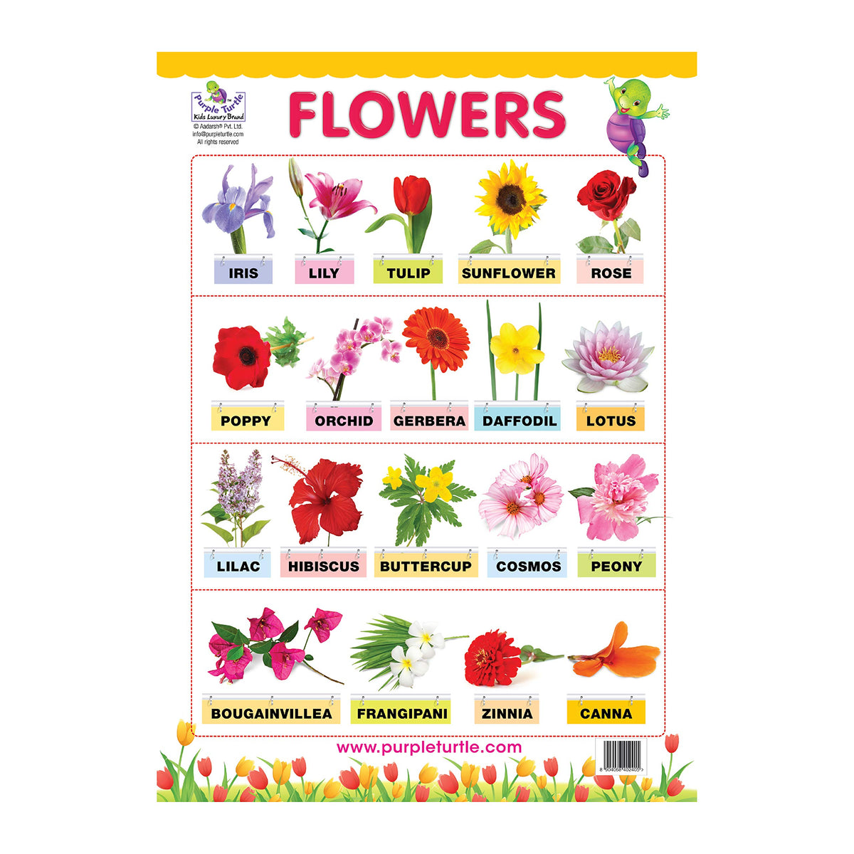 Flower Chart Worksheet Colours and Flowers Educational Wall Charts for Kids – PurpleTurtle Store