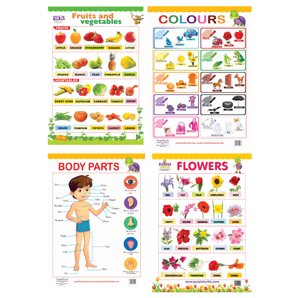Fruits & Vegetables, Colours, Body Parts and Flowers Educational wall Charts for Kids