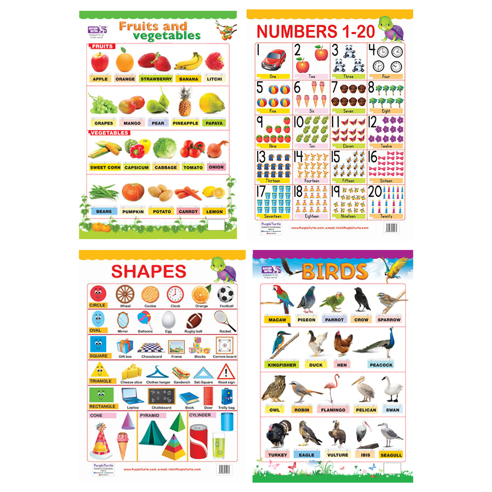 Birds, Fruits & Vegetables, Numbers (1-20), and Shapes Educational Wall Charts for Kids