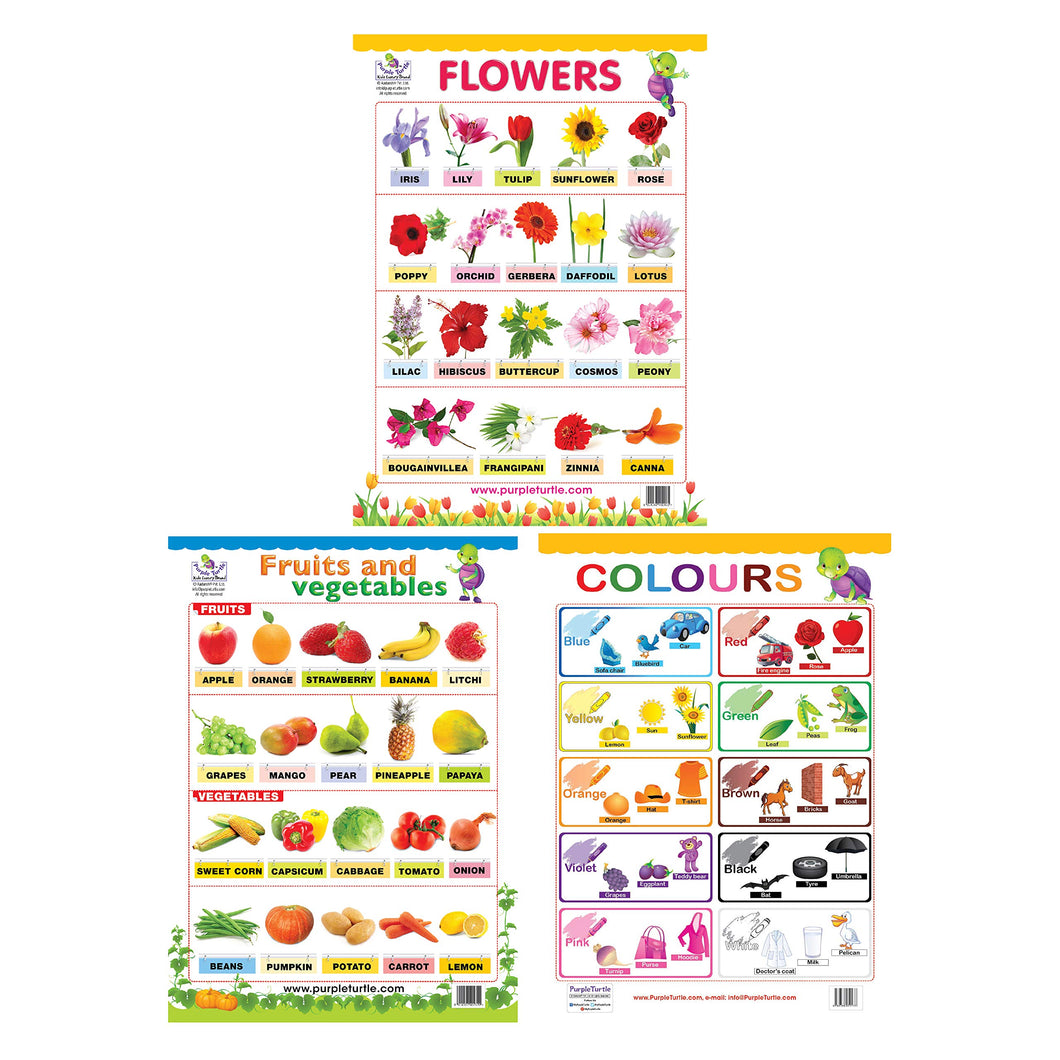 Fruits And Vegetables, Colours, and Flowers Charts for kids