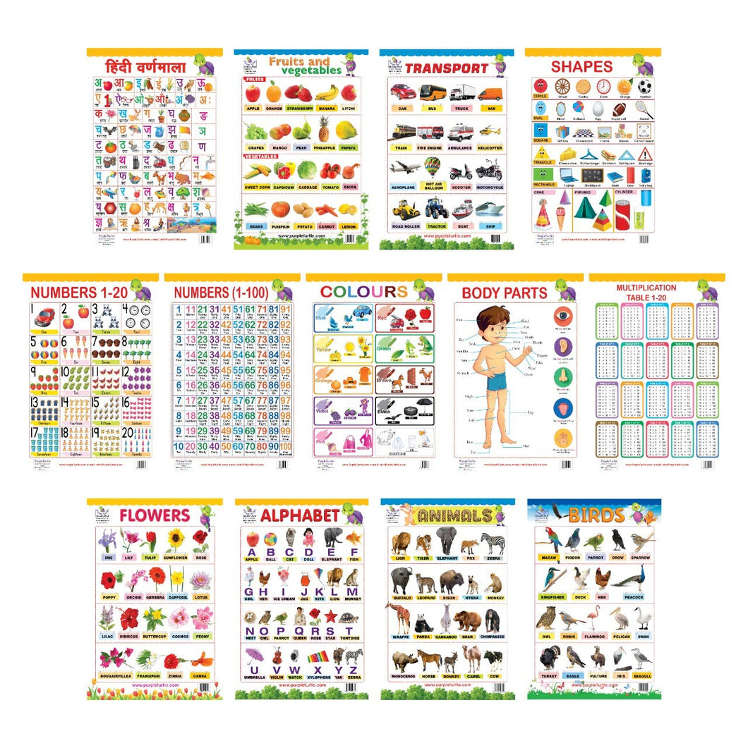 Early Learning Educational 13 Charts for kids Perfect for Preschool, Homeschooling and Nursery Student