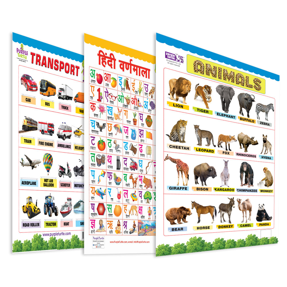 Transport, Hindi Varnmala and Animals Educational Wall Charts for Kids
