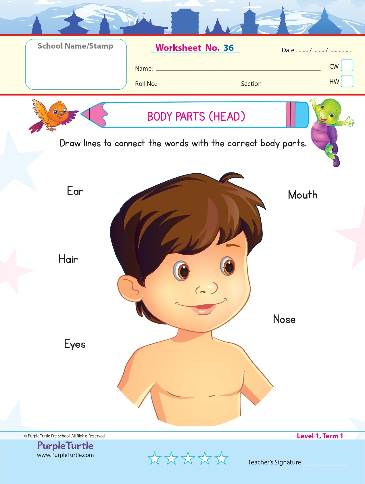 Purple turtle worksheets for nursery (english, maths u0026 evs) 100 activities  – purpleturtle store