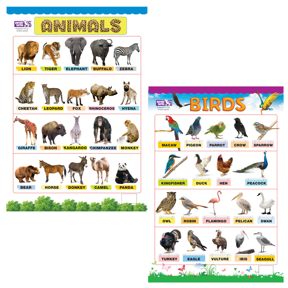 Animals and Birds Educational Wall Charts for Kids