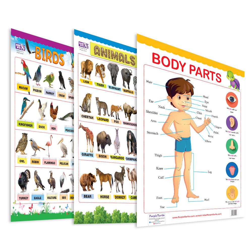 Educational Charts for kids (Animals, Birds, Body Parts)