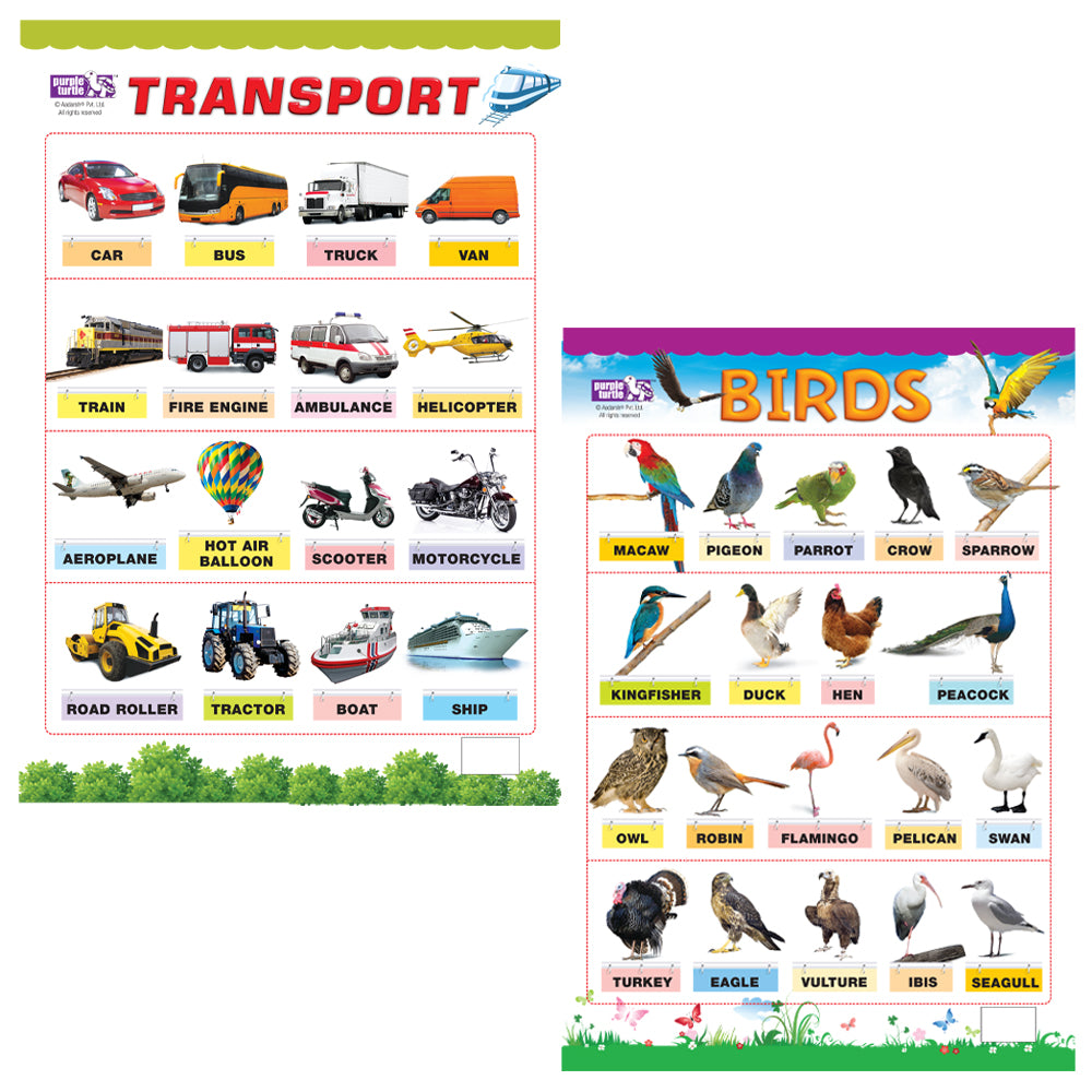 Transport and Birds Educational Wall Charts for Kids