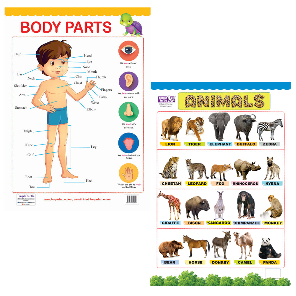 Body Parts and Animals Educational Wall Charts for Kids