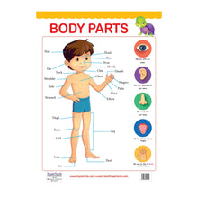 Load image into Gallery viewer, Body Parts and Shapes Educational Wall Charts for KIds
