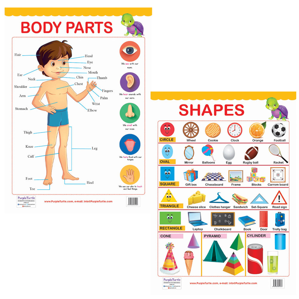 Body Parts and Shapes Educational Wall Charts for KIds