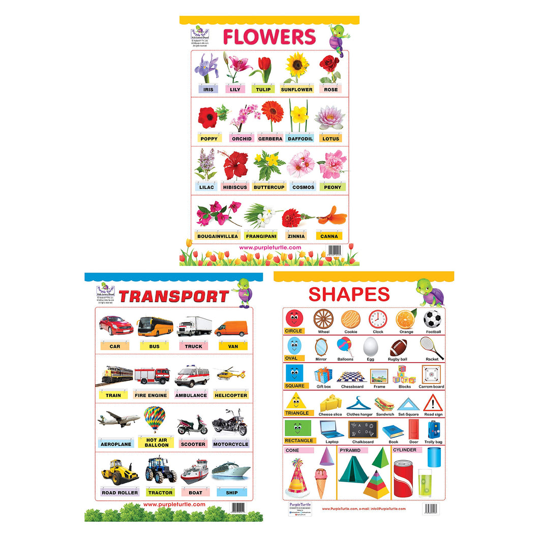 Flowers, Shapes, and Transport Charts for kids