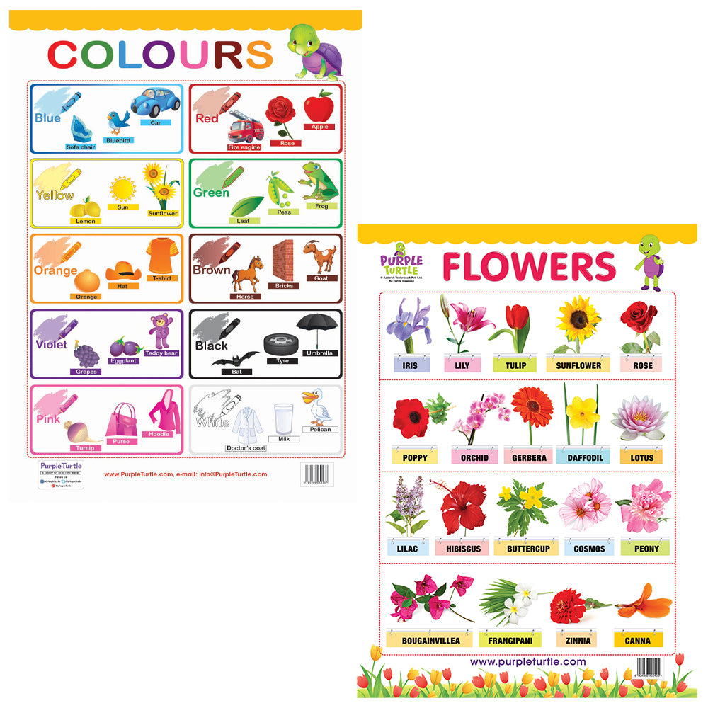Flower Chart Worksheet Colours and Flowers Educational Wall Charts for Kids – PurpleTurtle Store