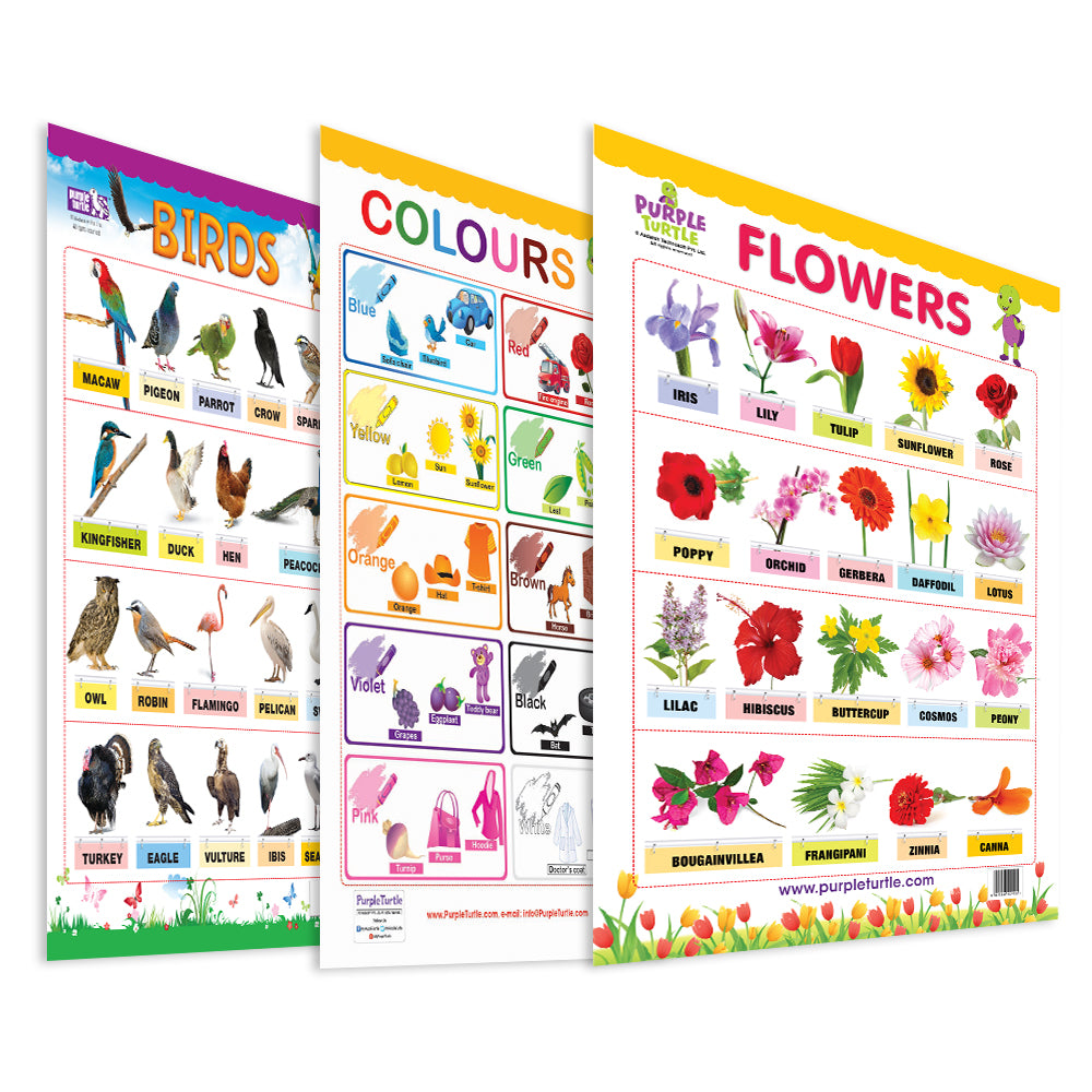 Flowers, Colours and Birds Educational Wall Charts for Kids