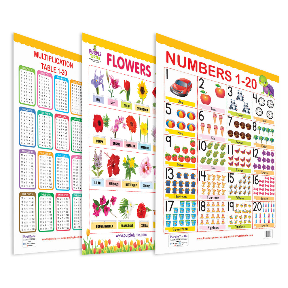 Multiplication, Flowers and Numbers (1-20) Educational Wall Charts for Kids