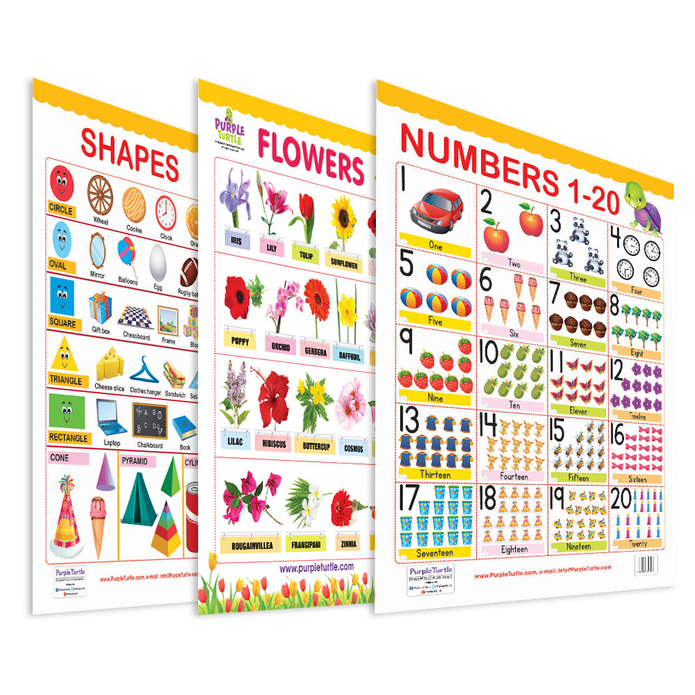 Numbers (1-20), Flowers and Shapes Educational Wall Charts for Kids