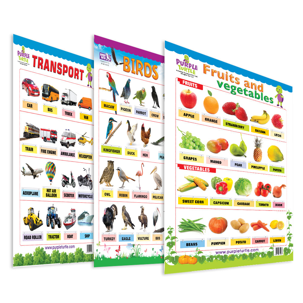 Fruits & Vegetables, Birds and Transport Educational Wall Charts for Kids